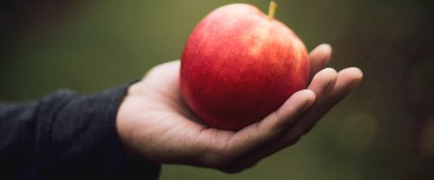 Het belang van een growth mindset: zo inspireer je anderen te blijven leren