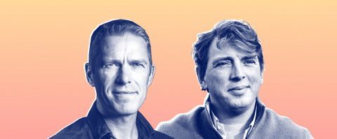 Deze 5 strategieën brengen Picnic en Coolblue succes in Duitsland