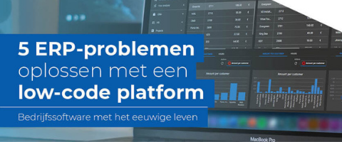 Bedrijfssoftware met het eeuwige leven