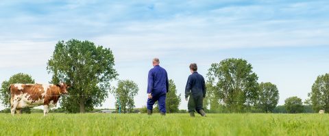 Tekort aan materialen verlamt investeringen – Grootgrondbezitter ASR beloont duurzame boer