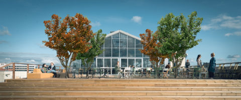 Bewegende bomen op een dakterras: hoe een ex-Picnic-manager steden vergroent