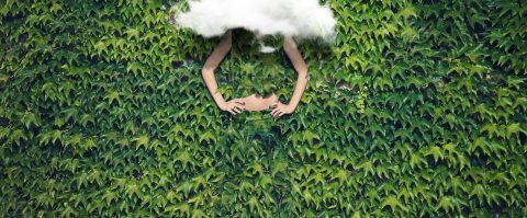 Introvert? Dat hoeft je carrière niet in de weg te staan