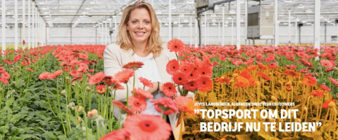 Whitepaper: Succesvol ondernemen in het buitenland