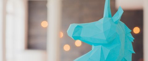 Deze 10 startups zijn de volgende Nederlandse unicorns